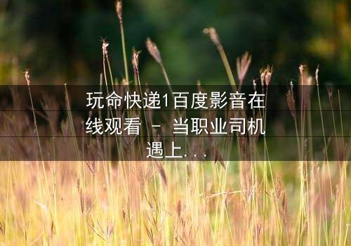 玩命快递1百度影音在线观看 - 当职业司机遇上致命交易,谁能全身而退?