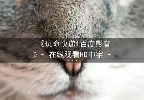 《玩命快递1百度影音》- 在线观看HD中字 - 一场生死时速的致命交易